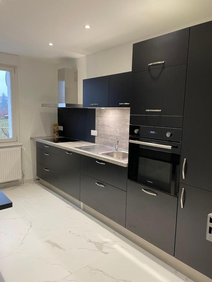 Appartement Les Tilleuls "3 Etoiles" Niederbronn-les-Bains Bagian luar foto